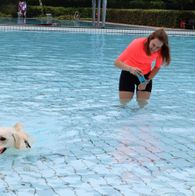 Zwemmen met honden, 17-9-2023 085