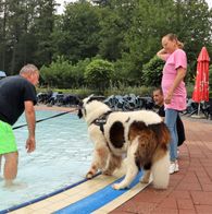 Zwemmen met honden, 17-9-2023 086