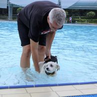 Zwemmen met honden, 17-9-2023 100