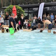 Zwemmen met honden, 17-9-2023 113