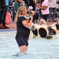 Zwemmen met honden, 17-9-2023 116