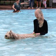 Zwemmen met honden, 17-9-2023 121