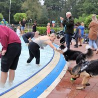 Zwemmen met honden, 17-9-2023 126