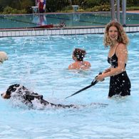 Zwemmen met honden, 17-9-2023 131