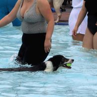Zwemmen met honden, 17-9-2023 162