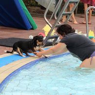 Zwemmen met honden, 17-9-2023 172