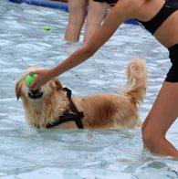 Zwemmen met honden, 17-9-2023 182