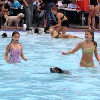 Zwemmen met honden, 17-9-2023 203