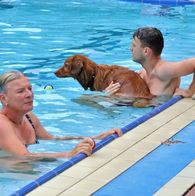 Zwemmen met honden, 17-9-2023 206