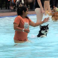 Zwemmen met honden, 17-9-2023 217