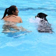 Zwemmen met honden, 17-9-2023 225