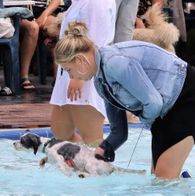 Zwemmen met honden, 17-9-2023 242